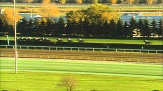 1996 Breeders Cup Turf [upl. by Grory310]