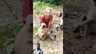 दीदी dra रही है monkey को mankey funny love funnyanimal [upl. by Machos195]