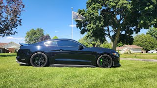 Update on my BMR Suspension in my 2016 S550 Mustang GT [upl. by Enelram]