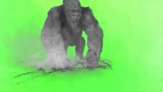 Green Screen 40 essential effects [upl. by Eniamsaj]