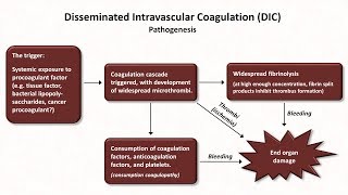 Thrombocytopenia Hemostasis  Lesson 8 [upl. by Akinal]