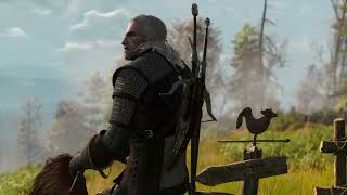 Geralt Arrives At Velen Northern Temeria  The Witcher 3 Wild Hunt [upl. by Egrog638]