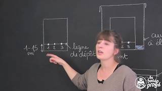 Chromatographie sur couche mince  PhysiqueChimie  Les Bons Profs [upl. by Arihsat351]