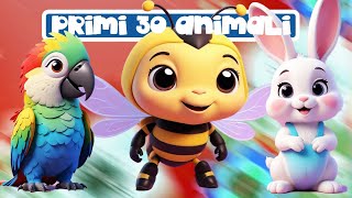 Prime Parole  30 ANIMALI 👶🏻🎴 Video Educativo con Flashcard per Bambini [upl. by Larret]