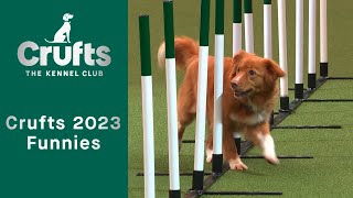 Funnies from Crufts 2023 [upl. by Niarda245]