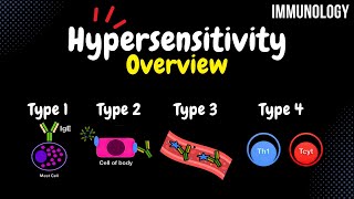 Hypersensitivity Reactions  Type 1 2 3 4  Immunology [upl. by Rokach]