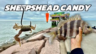 Fishing FAMOUS Galveston Seawall Jetty for Dinner 61st Pier [upl. by Lawford]