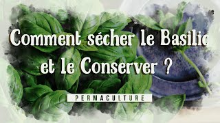 Comment sécher et conserver le basilic [upl. by Noll]