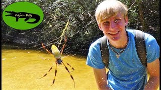 Giant FREAKY Banana Spider [upl. by Lokcin]