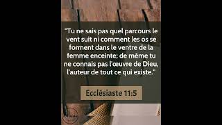 Verset Biblique Du Jour  Ecclésiaste 115  Le Mystère des Œuvres de Dieu dans lUnivers [upl. by Devaj793]