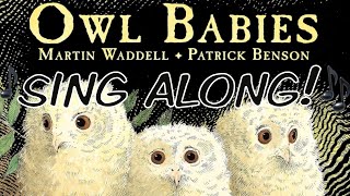 OWL BABIES 🎶Story Song🎶 lyrics on screen early years KS1 preschool night nocturnal animals [upl. by Chladek125]