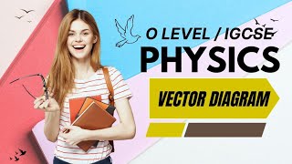 Graphical Representation of Vector  Scalars and Vector Quantities  O level Physics [upl. by Wolford]