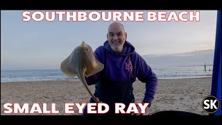 Southbourne Beach Fishing  Small Eyed Ray [upl. by Grizelda]