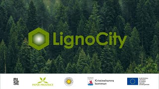 LignoCity webinar Lignin engineering and biomass valorization [upl. by Dahlstrom122]