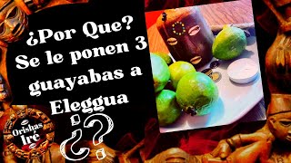 ¿POR QUE SE LE PONEN 3 GUAYABAS A ELEGGUA ORISHAS IRE [upl. by Aicemat]