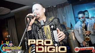 El Prodigio  El bajadero  En Vivo Para Musicologos [upl. by Adnwahsar]