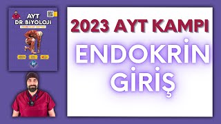 Endokrin Sisteme Giriş Hipotalamus AYT Biyoloji Kampı Konu Anlatımı 11Sınıf 2024 Tayfa [upl. by Male]