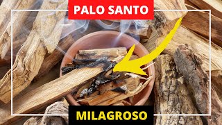 🔥 EL PALO SANTO Cómo se usa y Para qué Sirve SUERTE DINERO [upl. by Rolo]