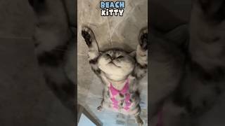 Hilarious Pet Moments You Cant Miss 🐾 43 🐾shorts [upl. by Aznecniv]