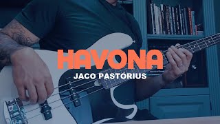 Havona  Jaco Pastorius  Bass Cover  Aleš Vychodil Jazz Bass [upl. by Metzgar]