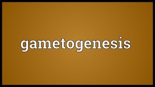 Gametogenesis Meaning [upl. by Irafat]