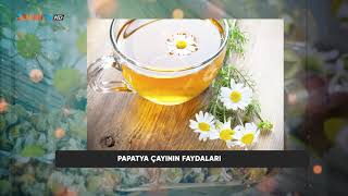 faydalıbilgiler PAPATYA ÇAYININ FAYDALARI [upl. by Ycram797]