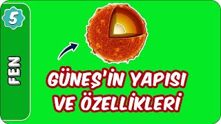 Güneşin Yapısı ve Özellikleri  5Sınıf Fen evokul Kampı [upl. by Abrahamsen]