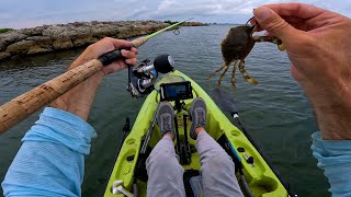 EPIC CRAB BITE on the Rocks  Bonefish Grouper and Snook [upl. by Aurilia]