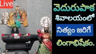 Lakshmisya Chalamalasetti is live వెదురుపాక గ్రామంలో వున్న శివాలయంలో నిత్యం జరిగే లింగాభిషేకం [upl. by Zarah]