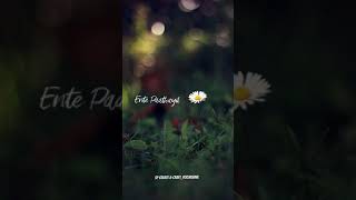 Akale Oru Tharakamayi Whatsapp Status  lyrical whatsapp status  SP create amp craft [upl. by Alarice480]