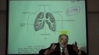 RESPIRATORY PHYSIOLOGY PLEURAL MEMBRANES INTRAPLEURAL PRESSURE amp VALSALVA MANEUVER by Professor F [upl. by Britt530]