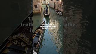 A perfect travel day in Venice Italy venice travelvlog travelvlog italy [upl. by Darsie31]