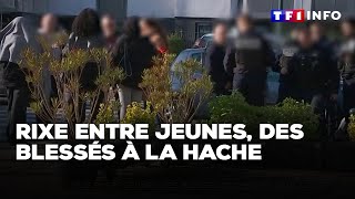 Rixe entre jeunes des blessés à la hache dans le RER E｜TF1 INFO [upl. by Judi]