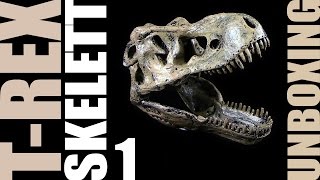 EduToys ®  Tyrannosaurus Rex Skelett  TRex Skeleton  Unboxing Teil 1  ReUpload [upl. by Tnahsin143]