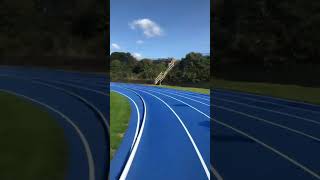 Iffley road running track trackandfield track run athletics sports [upl. by Oner213]