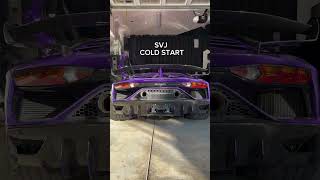 Lamborghini SVJ Cold Start trending lamborghini svj [upl. by Bej416]