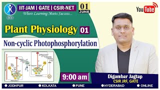 Lecture 01 Plant Physiology Non Cyclic Photophosphorylation [upl. by Inman]