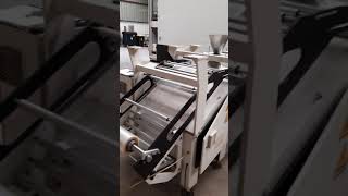 Ilapak Vegatronic 1000 Bagging machine  Vertical  Sachet machine [upl. by Anayia]