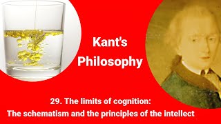 Kants philosophy  The limits of our cognition The schematism and the principles of the intellect [upl. by Kutzenco]