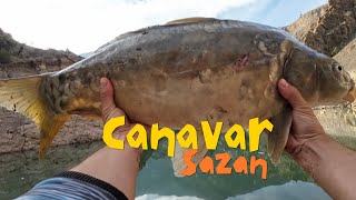 AYNALI SAZAN TAM BİR CANAVAR sazanavı carpfishing carp fishing fish [upl. by Akimit306]