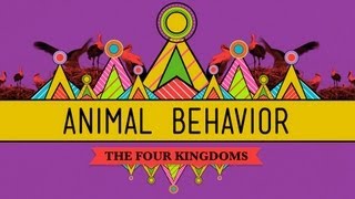 Animal Behavior  CrashCourse Biology 25 [upl. by Riba49]