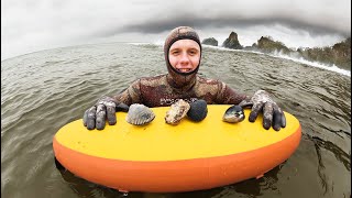 Diving For Shellfish During Oregon King Tides Oysters Razor Clams Gapers [upl. by Joannes]