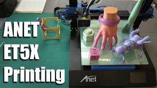 Anet ET5X setup and print quality [upl. by Nomyar]