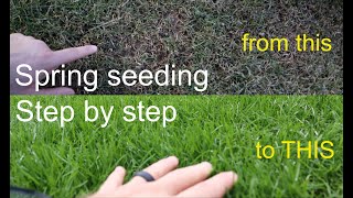 How to GROW GRASS in the SPRING successfully step by step [upl. by Surtemed703]