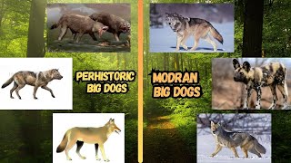 The Great Wild Dogs of the Past  Prehistoric Predators [upl. by Adar]