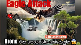 Drone එක සොයාගිය මෙහෙයුම after an Eagle Attack at Aberdeen Waterfall [upl. by Allemat]