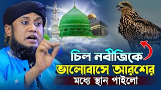 চিল নবীজিকে ভালোবেসে আরশে স্থান পাইলো। আমজাদ হোসেন জালালী নতুন ওয়াজ ২০২৪। Amjad Hossain Jalali Waz [upl. by Nnuahs679]