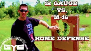 HOME DEFENSE12 Gauge or M16 [upl. by Ahsatin]