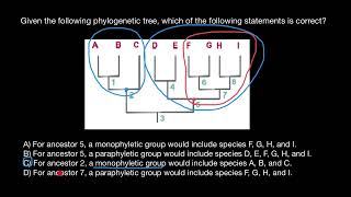 Paraphyletic groups vs Monophyletic groups [upl. by Otsugua]