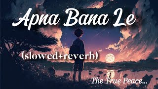 Apna Bana Le lofi song slowedreverb [upl. by Acilejna]